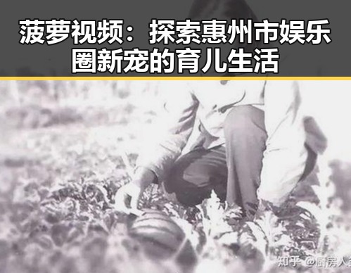 菠萝视频：探索惠州市娱乐圈新宠的育儿生活