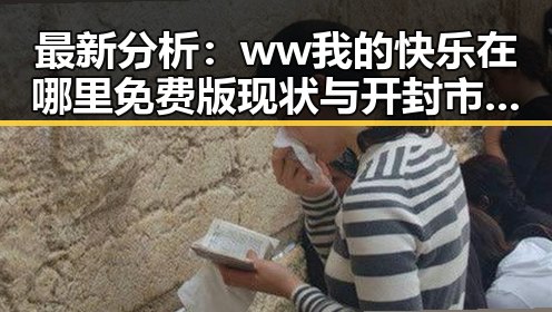 最新分析：ww我的快乐在哪里免费版现状与开封市用户体验