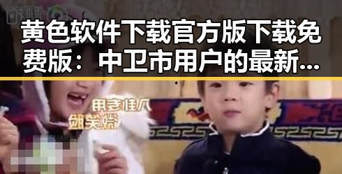 黄色软件下载官方版下载免费版：中卫市用户的最新选择