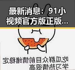 最新消息：91小视频官方版正版下载现已全面上线