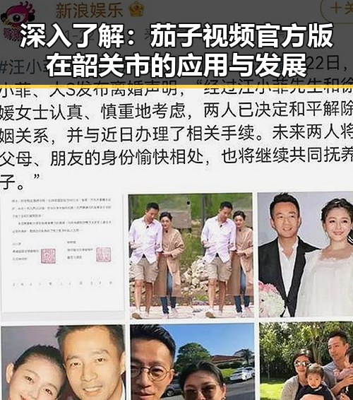 深入了解：茄子视频官方版在韶关市的应用与发展