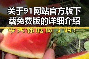 关于91网站官方版下载免费版的详细介绍
