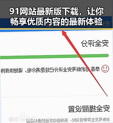 91网站最新版下载，让你畅享优质内容的最新体验
