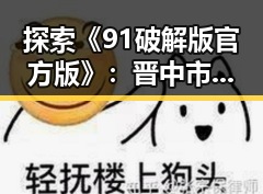 探索《91破解版官方版》：晋中市的热门选择