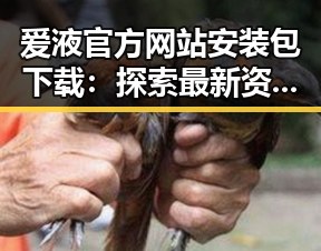 爱液官方网站安装包下载：探索最新资源与安全指南