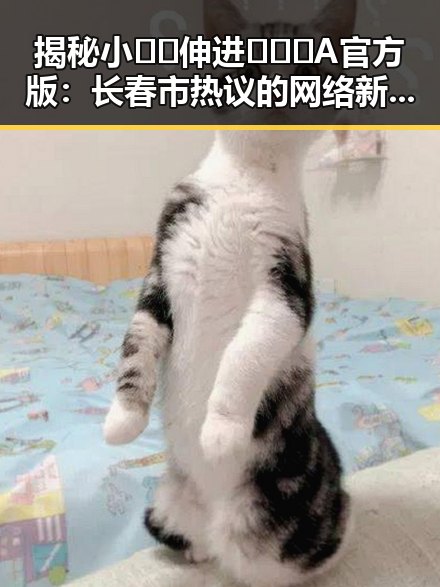 揭秘小🐔🐔伸进🈲🔞🔞A官方版：长春市热议的网络新话题