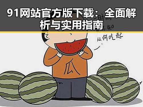 91网站官方版下载：全面解析与实用指南