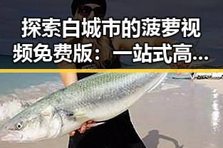 探索白城市的菠萝视频免费版：一站式高清体验指南