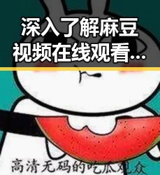 深入了解麻豆视频在线观看官方版：引发关注的焦点