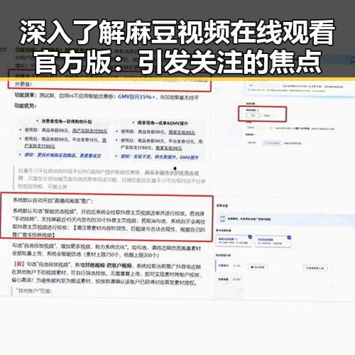 深入了解麻豆视频在线观看官方版：引发关注的焦点