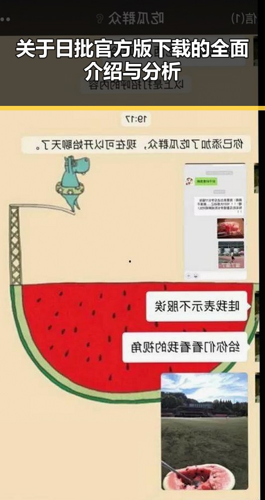 关于日批官方版下载的全面介绍与分析