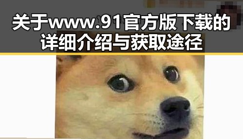 关于www.91官方版下载的详细介绍与获取途径