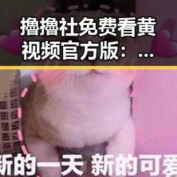 擼擼社免费看黄 视频官方版：临汾市最新在线观看指南