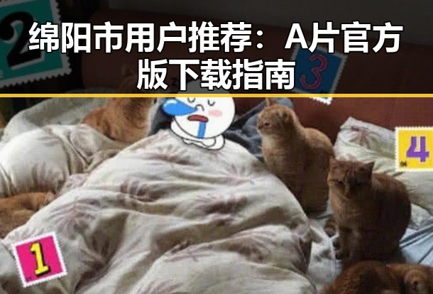 绵阳市用户推荐：A片官方版下载指南
