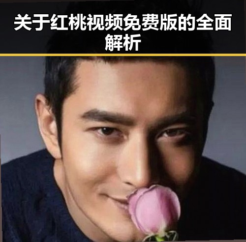 关于红桃视频免费版的全面解析