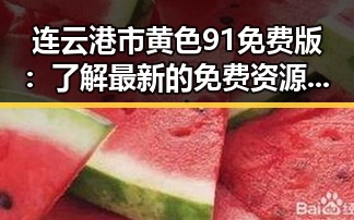 连云港市黄色91免费版：了解最新的免费资源指南