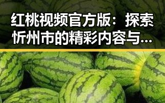 红桃视频官方版：探索忻州市的精彩内容与资源