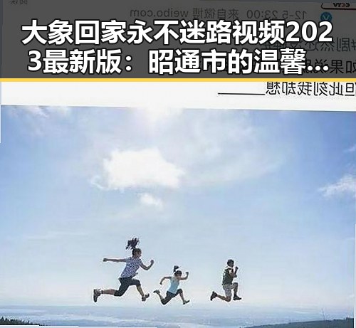 大象回家永不迷路视频2023最新版：昭通市的温馨故事