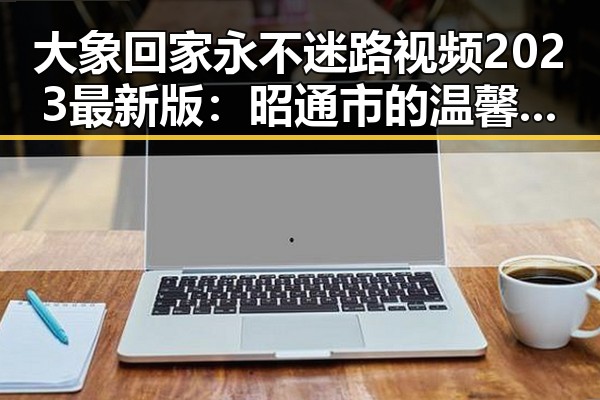 大象回家永不迷路视频2023最新版：昭通市的温馨故事