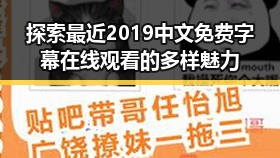 探索最近2019中文免费字幕在线观看的多样魅力