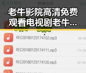 老牛影院高清免费观看电视剧老牛官方版免费版：全面解析与观看指南