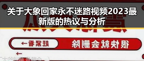 关于大象回家永不迷路视频2023最新版的热议与分析