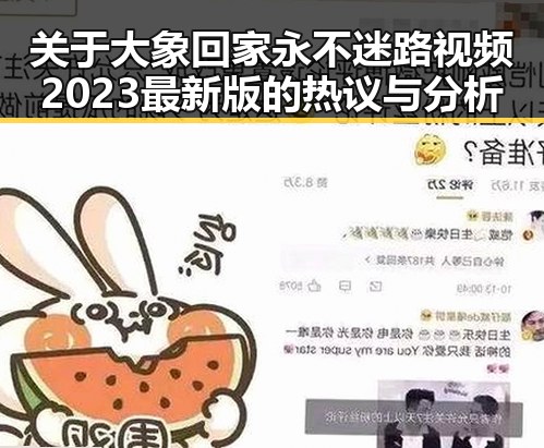 关于大象回家永不迷路视频2023最新版的热议与分析