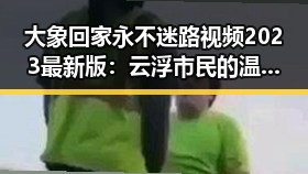 大象回家永不迷路视频2023最新版：云浮市民的温馨记忆