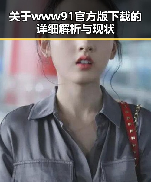 关于www91官方版下载的详细解析与现状