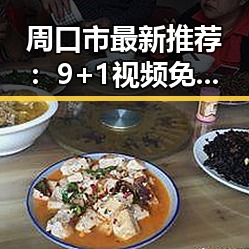 周口市最新推荐：9+1视频免费官方版全方位解析