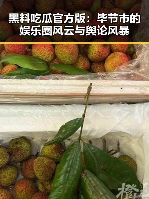 黑料吃瓜官方版：毕节市的娱乐圈风云与舆论风暴