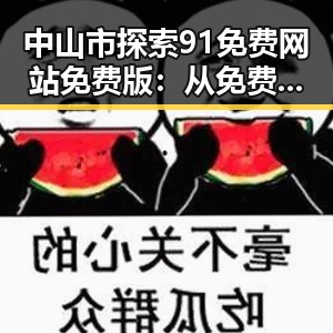 中山市探索91免费网站免费版：从免费到实用的变化与发展