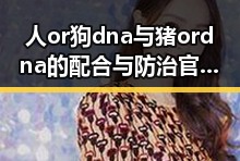 人or狗dna与猪ordna的配合与防治官方版下载：最新研究与应用分析