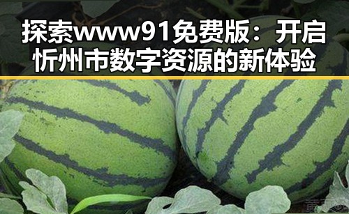 探索www91免费版：开启忻州市数字资源的新体验