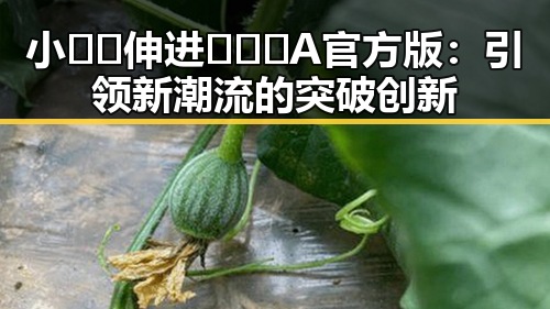 小🐔🐔伸进🈲🔞🔞A官方版：引领新潮流的突破创新