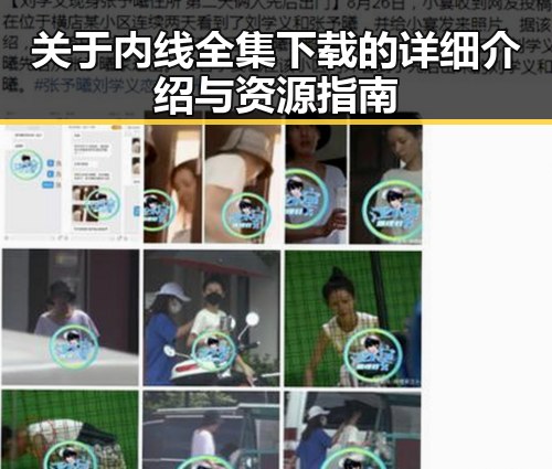 关于内线全集下载的详细介绍与资源指南