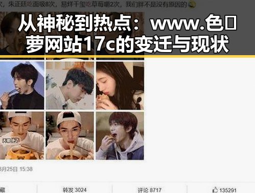 从神秘到热点：www.色😍萝网站17c的变迁与现状