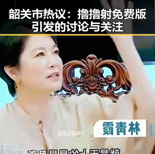 韶关市热议：撸撸射免费版引发的讨论与关注