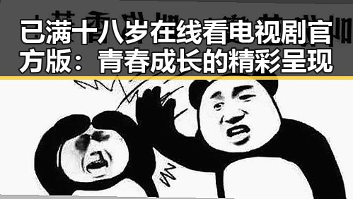 已满十八岁在线看电视剧官方版：青春成长的精彩呈现