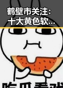 鹤壁市关注：十大黄色软件官方版的真实现状与风险