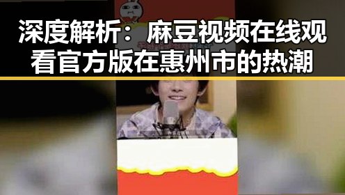 深度解析：麻豆视频在线观看官方版在惠州市的热潮