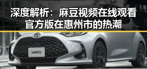 深度解析：麻豆视频在线观看官方版在惠州市的热潮