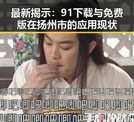 最新揭示：91下载与免费版在扬州市的应用现状