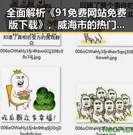 全面解析《91免费网站免费版下载》，威海市的热门资源获取指南
