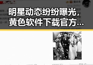 明星动态纷纷曝光，黄色软件下载官方版成为焦点