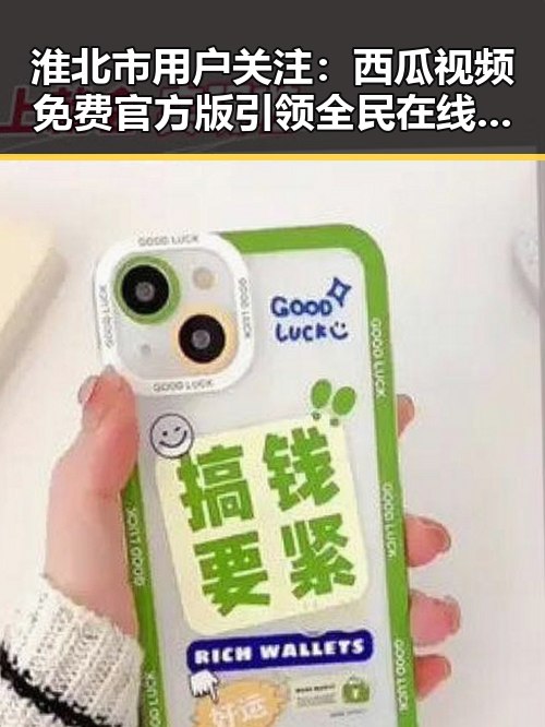 淮北市用户关注：西瓜视频免费官方版引领全民在线观看潮流