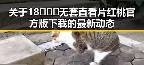 关于18❌❌❌无套直看片红桃官方版下载的最新动态