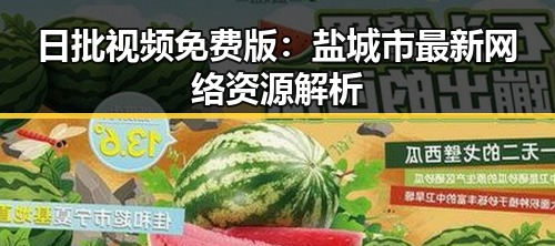 日批视频免费版：盐城市最新网络资源解析
