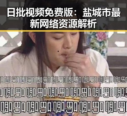 日批视频免费版：盐城市最新网络资源解析