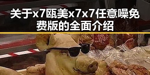 关于x7瓯美x7x7任意噪免费版的全面介绍